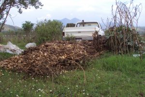 Compost pile in process