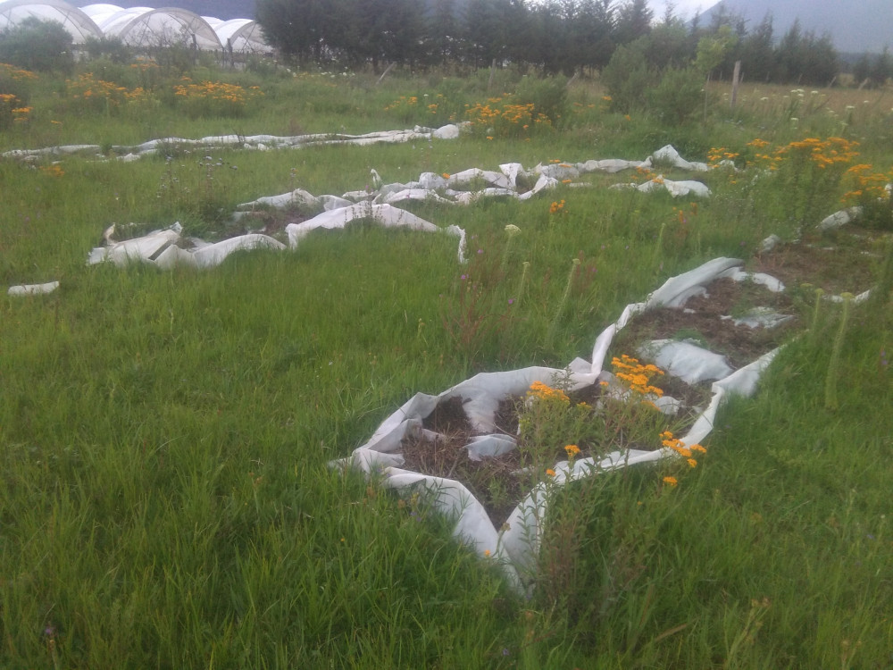 Compost ready for mixing with soil